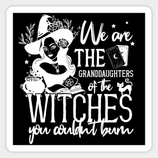 Halloween Feminist Granddaughters of Witches White Magnet